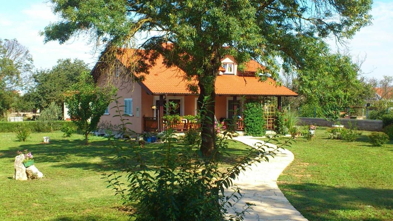 Villa Tinov Dvor Brisevo 外观 照片