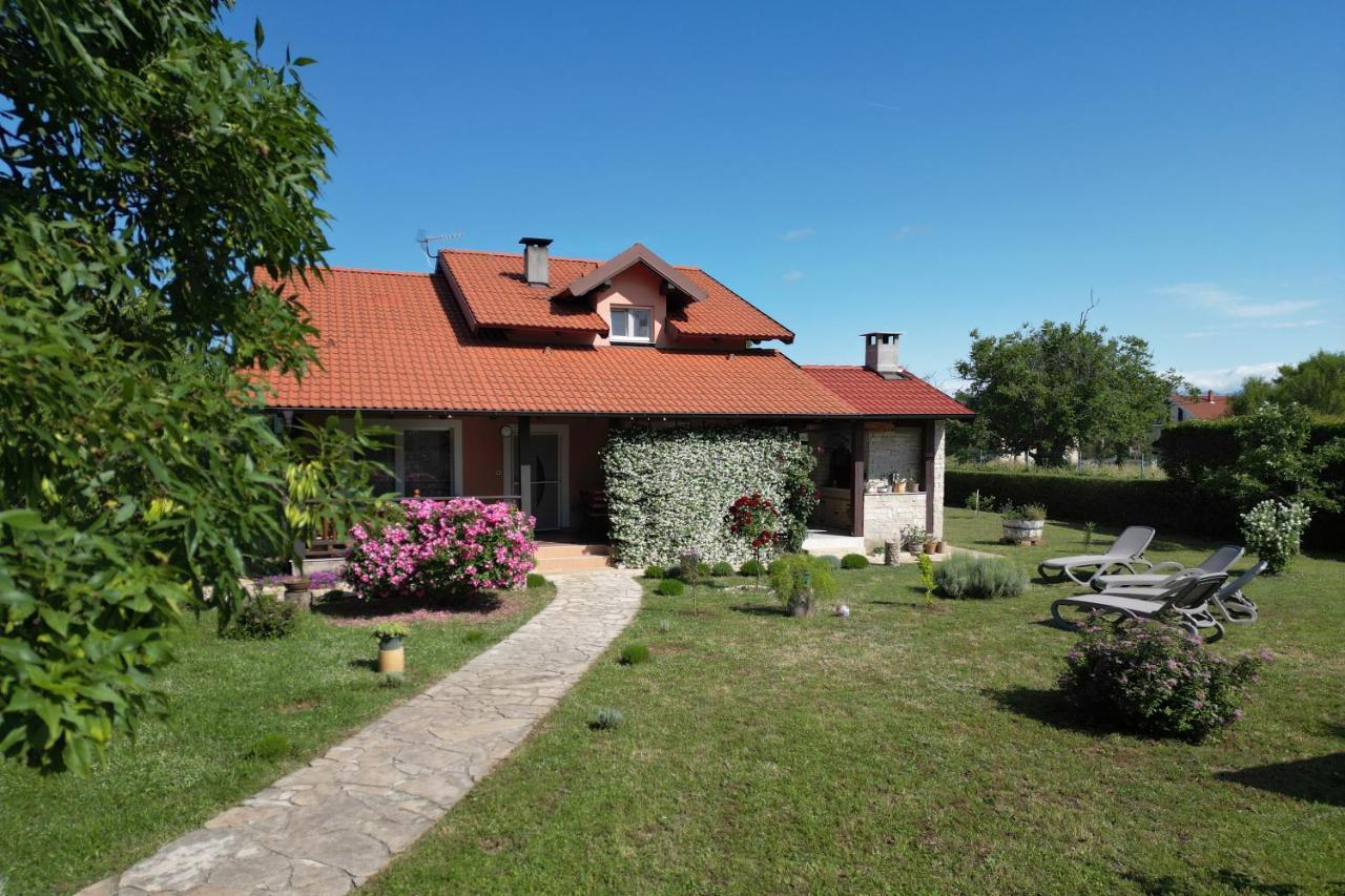 Villa Tinov Dvor Brisevo 外观 照片