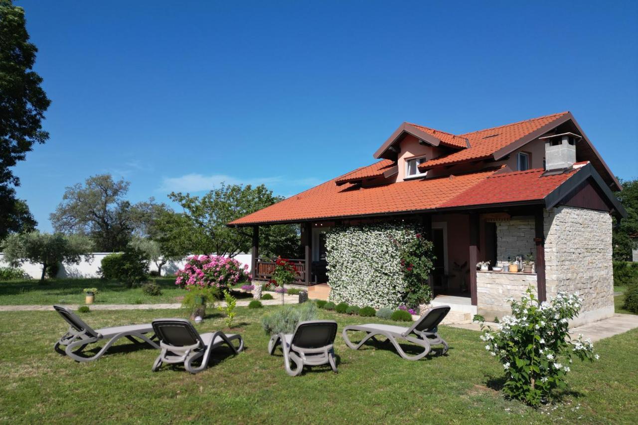 Villa Tinov Dvor Brisevo 外观 照片