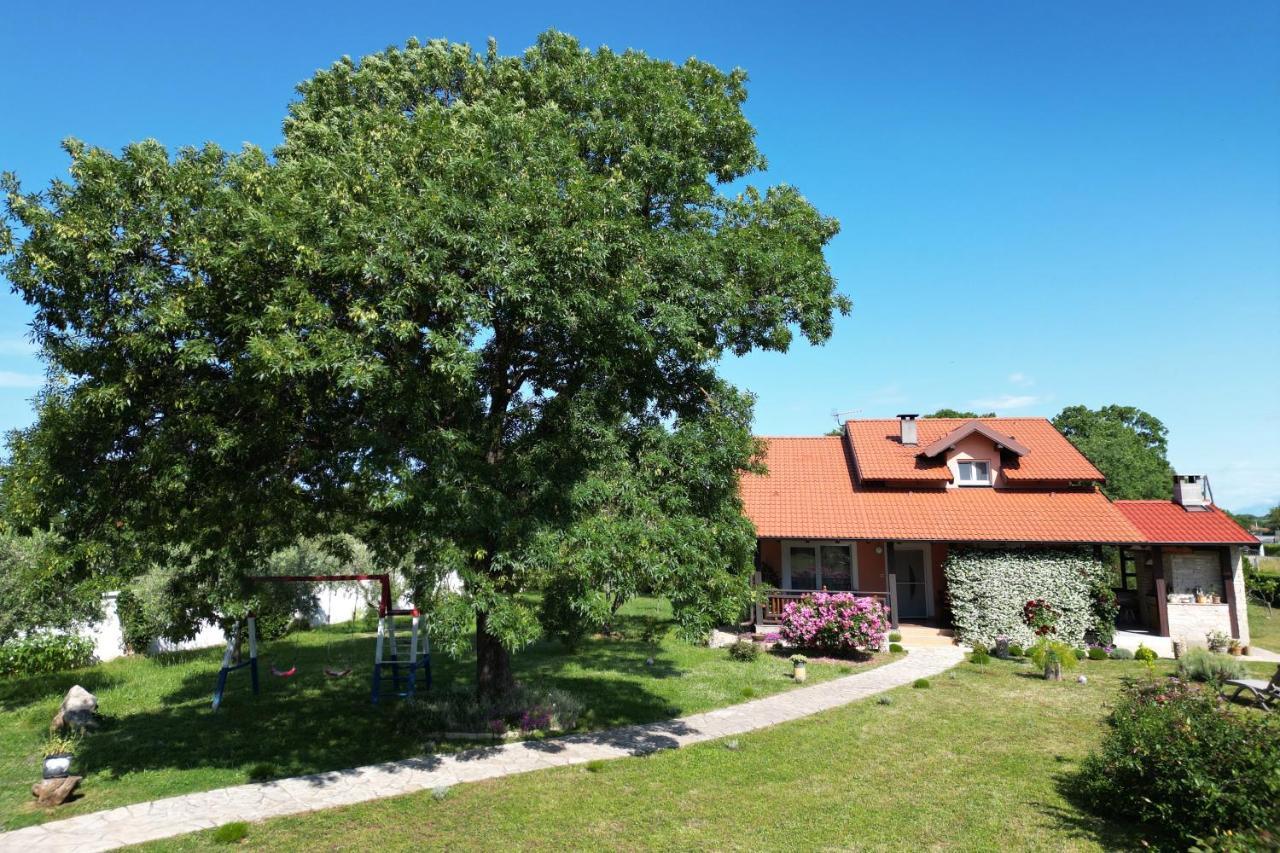 Villa Tinov Dvor Brisevo 外观 照片