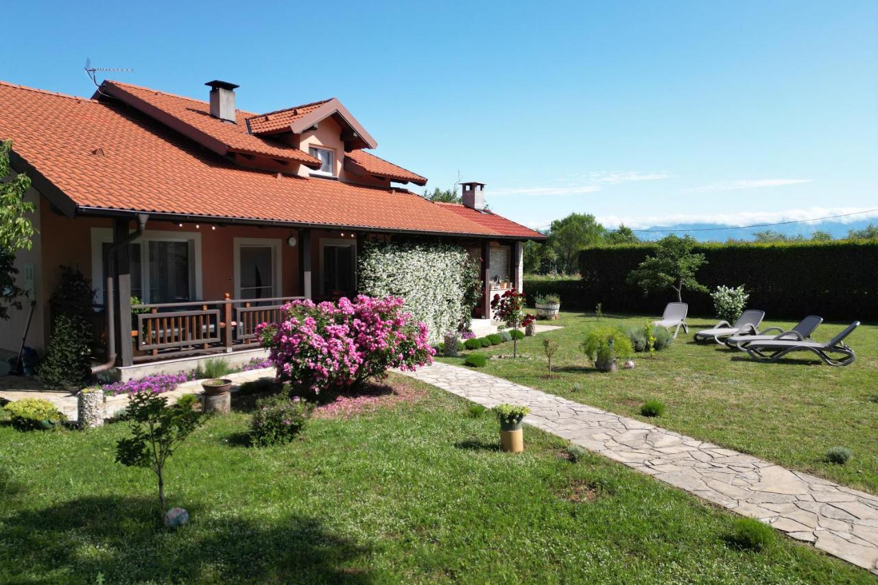 Villa Tinov Dvor Brisevo 外观 照片