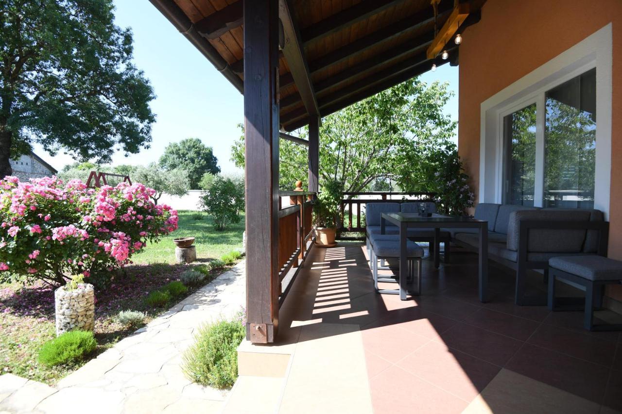 Villa Tinov Dvor Brisevo 外观 照片
