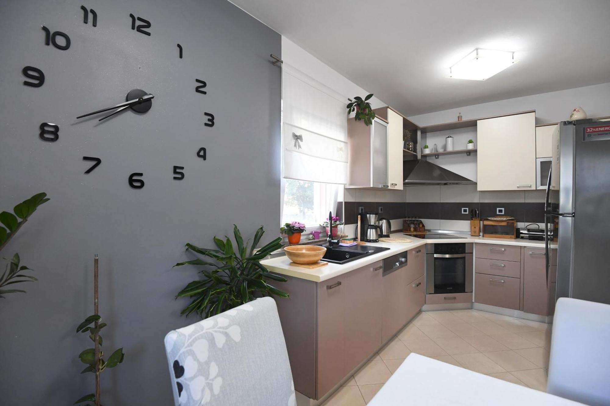 Villa Tinov Dvor Brisevo 外观 照片